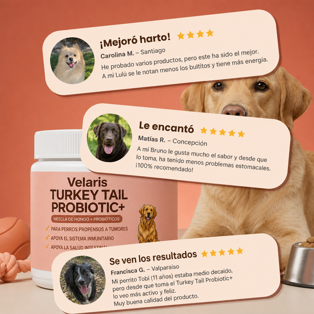 Velaris Cola de Pavo®